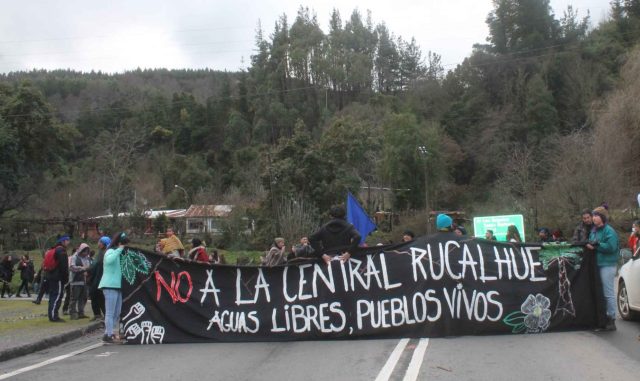 Rucalhue avanza con respaldo de Conaf: Preocupación por tala de especies endémicas