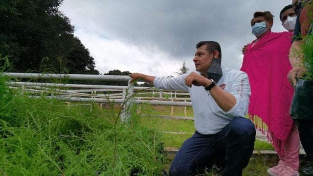 Diversificar los procesos de agricultura mediante el programa «Transformemos el Campo Poblano»: Alejandro Armenta