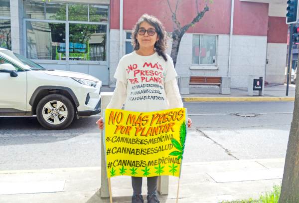 Tribunal absuelve a paciente de lupus por cultivo de cannabis: Un llamado a regular el uso medicinal