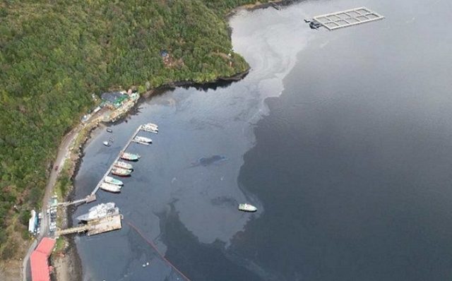 Pescadores artesanales de Puerto Chacabuco demandan tras catástrofe ambiental por derrame de mil litros de petróleo