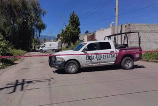 Durante operativo en Huejotzingo detienen a 7 personas, resguardan a un cocodrilo, un pavo real y un loro