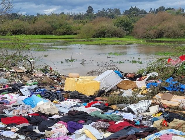 Humedales “protegidos” de Temuco y Padre Las Casas convertidos en basurales y vertederos ilegales