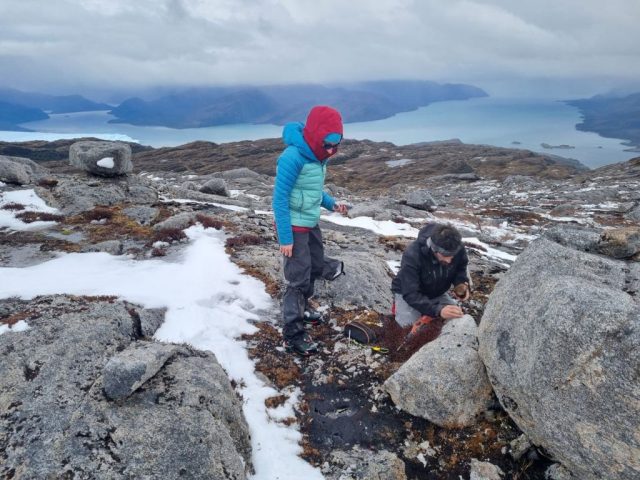 Glaciar Pio XI