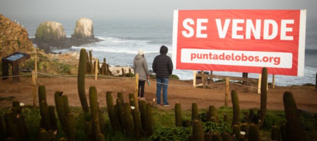 Punta de Lobos