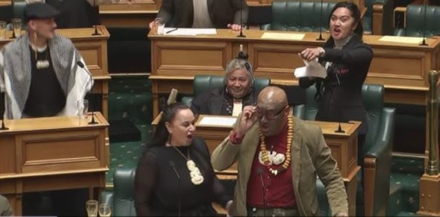 Haka en el parlamento: Políticos maoríes se levantan contra ley que recorta sus derechos en Nueva Zelanda