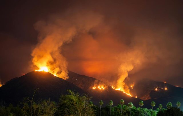 Cómo prevenir los incendios forestales y qué hacer en caso de uno