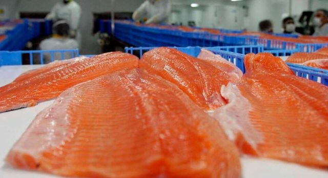 Importaciones rusas de salmón chileno caen 50% mientras Turquía e Irán ganan mercado