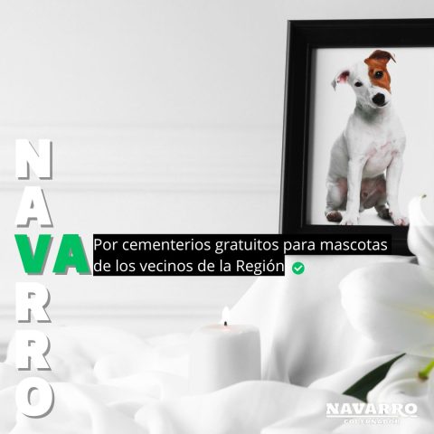 Alejandro Navarro propone creación de cementerio de animales en el Bio Bío