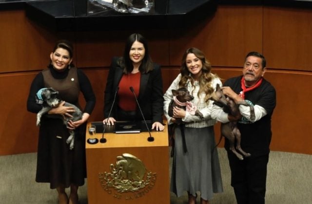 Por unanimidad, senadores con sus mascotas prohíben el maltrato animal en México