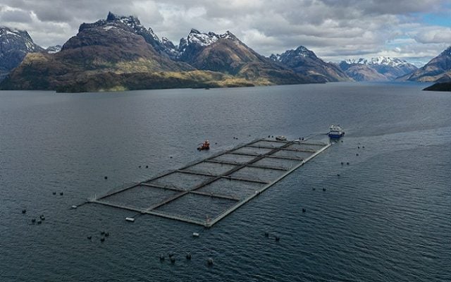 Controversia por empresas salmoneras extranjeras en la Patagonia: ¿Soberanía y biodiversidad en riesgo?