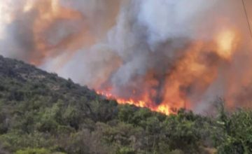 Alerta Roja