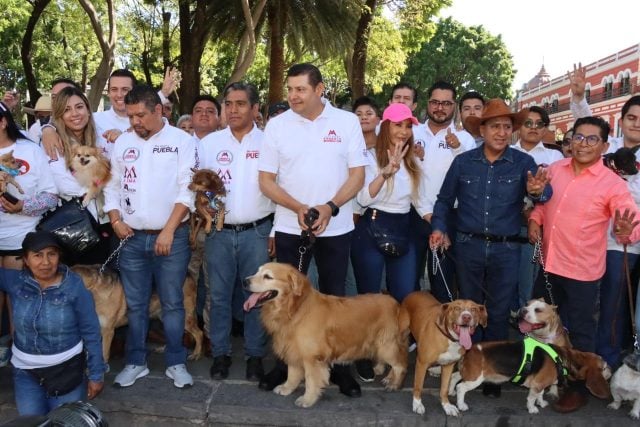 Alejandro Armenta presentará iniciativa para crear Semefo veterinario