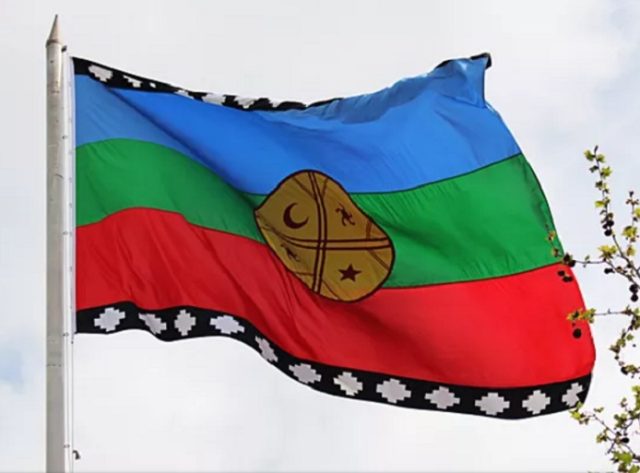 “La wenüfoye”: La historia de la bandera mapuche tras polémica de Mario Desbordes  y de La Segunda