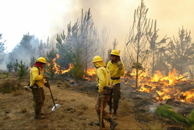 Por incendios en Valparaíso: Contraloría revela que Conaf no entregó información clave a Senapred