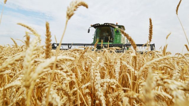 Rusia se consolida como uno de los principales productores y exportadores de cereales a nivel mundial