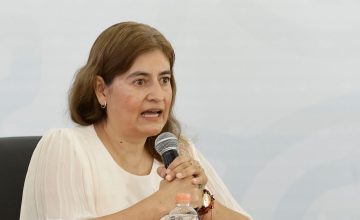 Celina Pérez Guzmán Enfoque