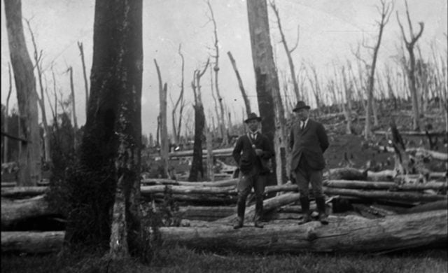 Los grandes incendios de bosques, la colonización y la riqueza de unos pocos