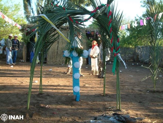 Mundo Flor Yaqui