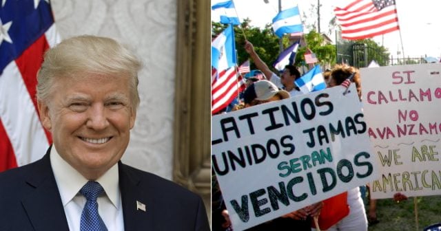 ¡Gracias, señor Trump!