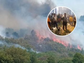 comunidades mapuche fuego Neuquén