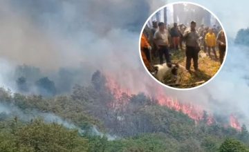 comunidades mapuche fuego Neuquén