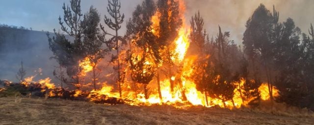 Advierte Alejandro Armenta sobre detenciones inminentes por incendios forestales provocados en Puebla