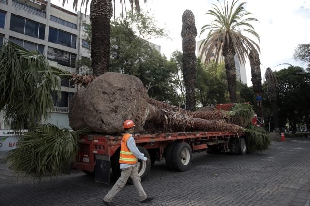 El Ciudadano México