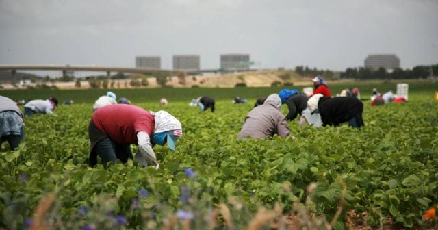 Trump contra las Ciudades Santuario: suspensión de beneficios federales a migrantes indocumentados