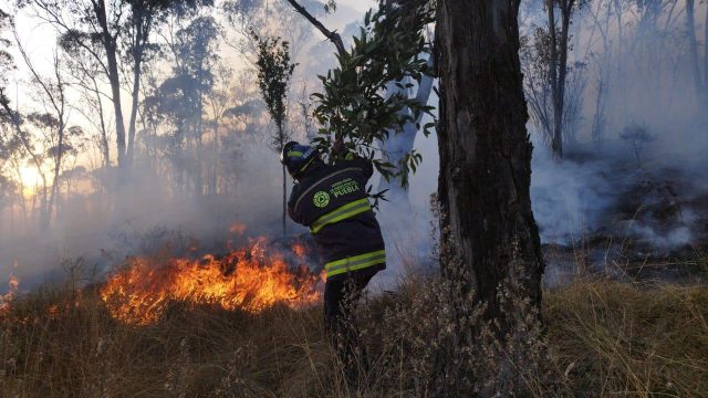 Ante la atención inmediata de incendios, los provocados tendrán penas severas