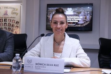 Diputada local Mónica Silva Ruiz Puntos Constitucionales X