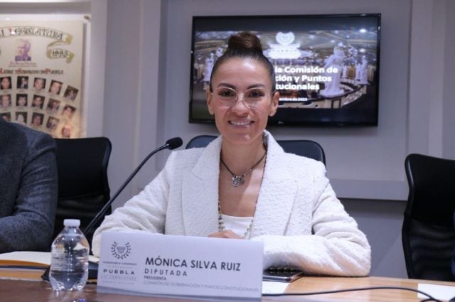 Diputada local Mónica Silva Ruiz Puntos Constitucionales X