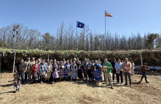 La tierra vuelve a sus dueños: comunidad mapuche de Ercilla recupera territorio ancestral tras décadas de lucha