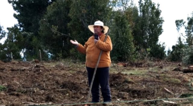 Francisca Curihuinca, 70 años, enferma y presa: cayó engrillada, sufrió hemorragias y el Gobierno la sigue considerando un «peligro»