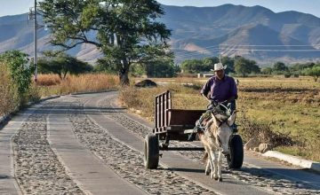 El Ciudadano México