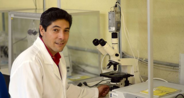 Investigador del Instituto de Fisiología estudia el síndrome metabólico desde sus cambios bioquímicos