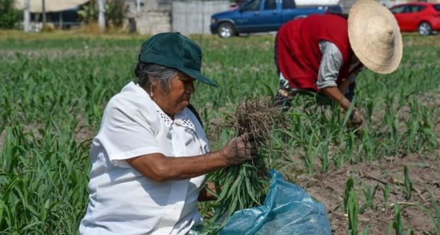 El Ciudadano México