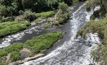 El Ciudadano México