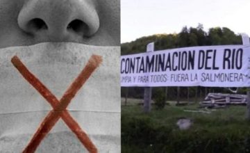 Ambientalistas