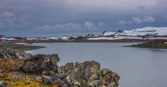 Científicos detectan contaminantes tóxicos en microorganismos de la Antártica