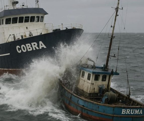 Las lecciones de Cobra-Bruma